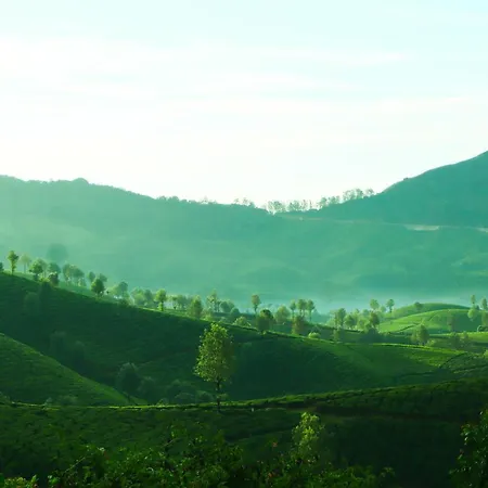 Munnar Valley View Exterior photo