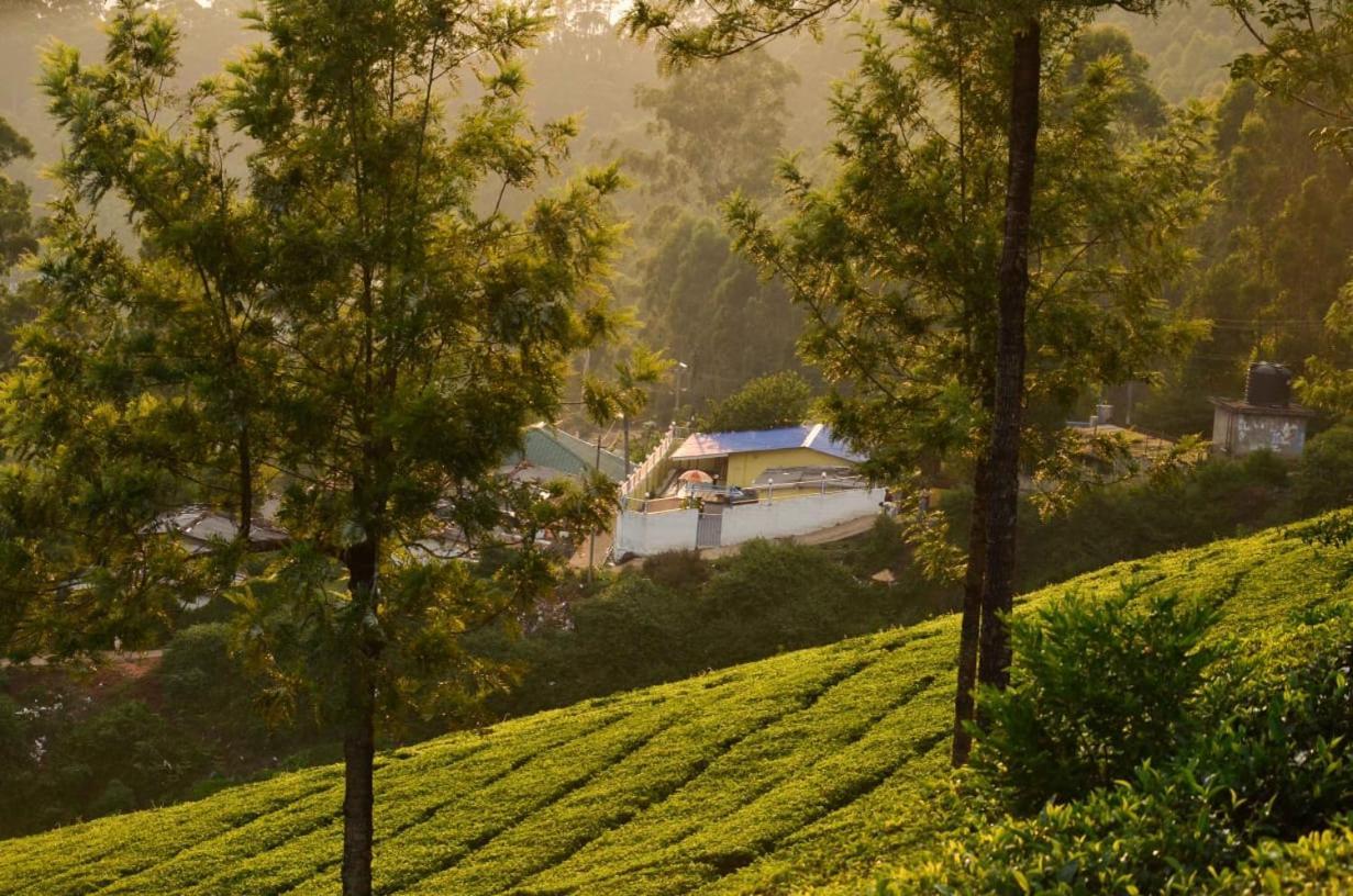Villa Valley View Munnar