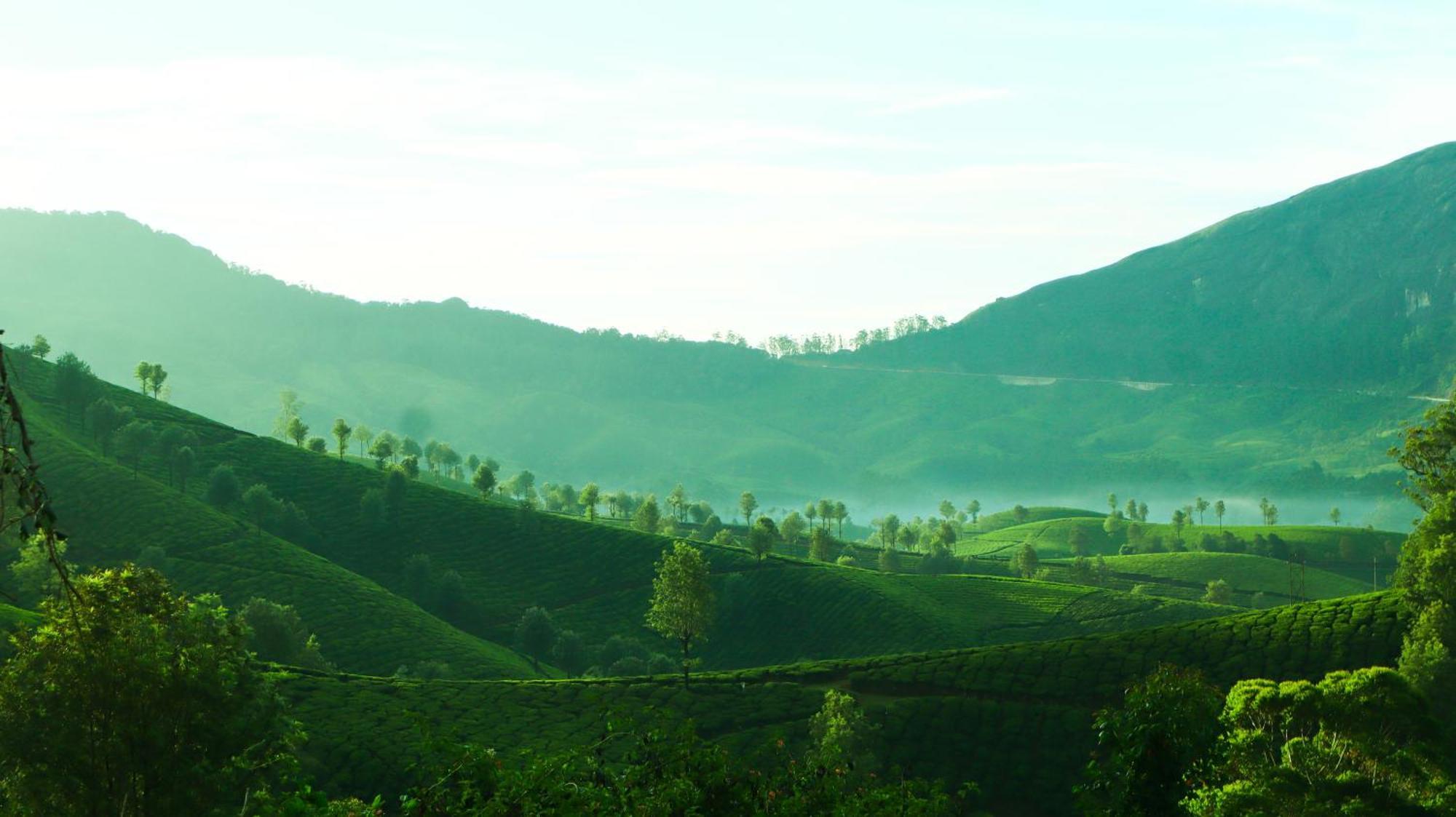 Valley View Villa Munnar